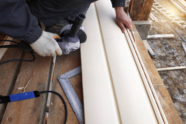 Best Historical Building Siding Restoration  in Pine Valley, CA